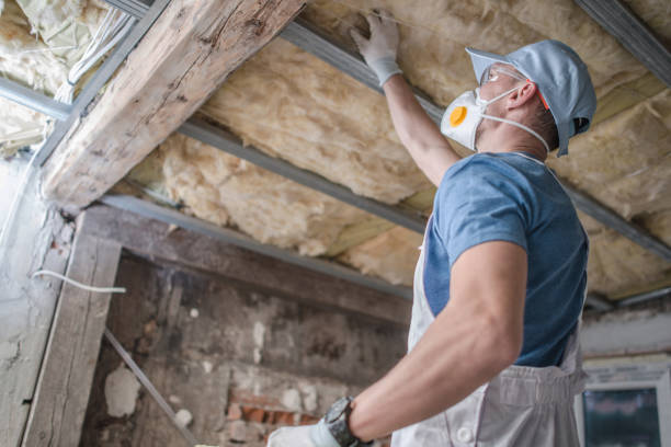 Best Commercial Insulation in Seat Pleasant, MD